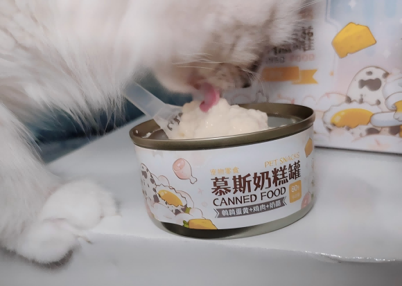 什么牌子的猫零食好,网易天成幼猫奶糕慕斯营养又好吃 什么牌子的猫零食好,网易天成幼猫奶糕慕斯营养又好吃