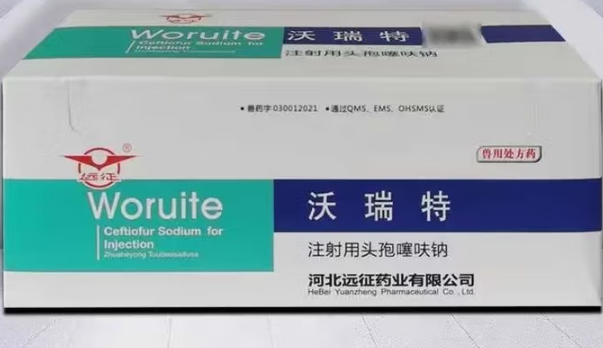 远征注射用头孢噻呋钠多少钱 远征注射用头孢噻呋钠多少钱