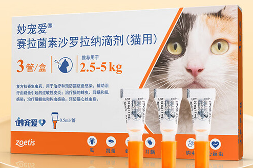 妙宠爱和爱沃克哪款比较好