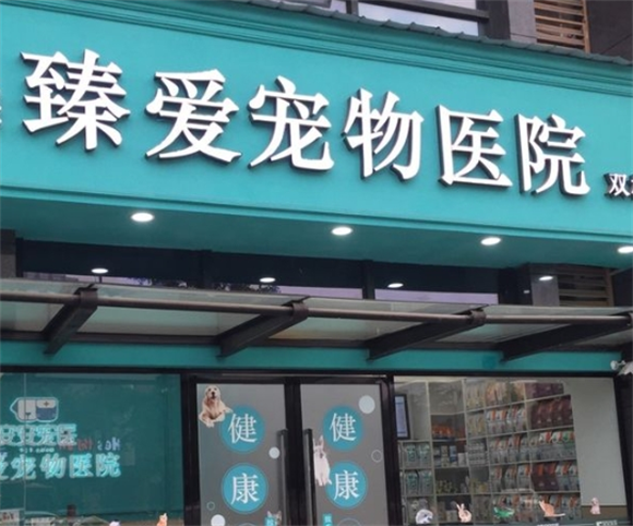 臻爱宠物医院实力如何