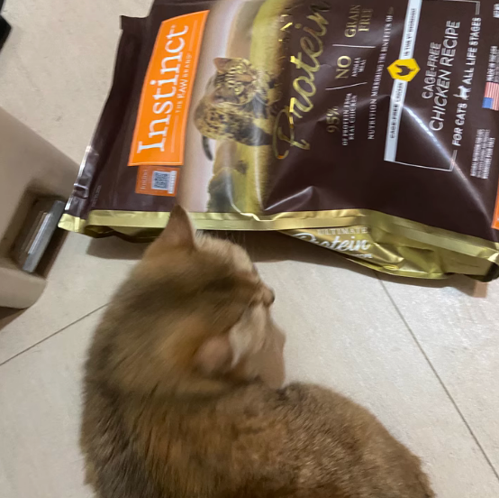 get利店鸡肉猫粮,给猫主子不一样的美味 get利店鸡肉猫粮,给猫主子不一样的美味