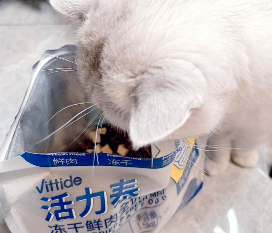 新手铲屎官必备:活力泰猫粮测评 新手铲屎官必备:活力泰猫粮测评