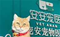 安安宠医怎么样