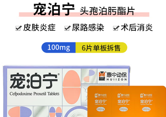 宠泊宁头孢泊肟酯片多少钱一粒