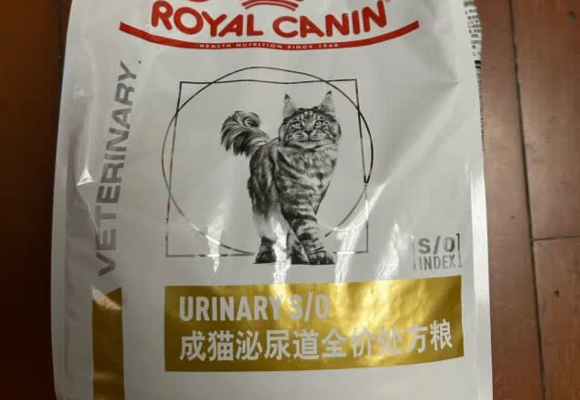 哪些牌子的猫粮比较好?皇家猫粮以科学配方与品质保障脱颖而出 哪些牌子的猫粮比较好?皇家猫粮以科学配方与品质保障脱颖而出