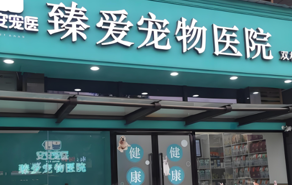 臻爱宠物医院:以专业与温度守护毛孩子的健康 臻爱宠物医院:以专业与温度守护毛孩子的健康