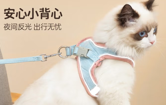 猫咪之家猫咪牵引绳：开启安全惬意的遛猫之旅