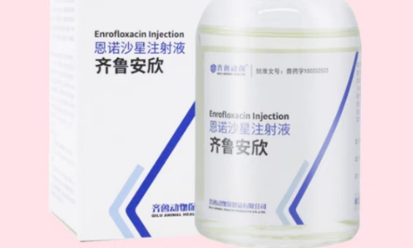 齐鲁动保宠物品牌实力雄厚! 齐鲁动保宠物品牌实力雄厚!
