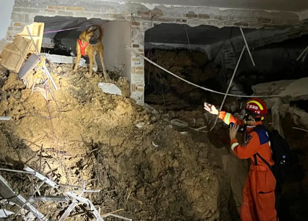 玉林消防搜救犬台风中救出 3 人:与时间赛跑的毛孩子战士 玉林消防搜救犬台风中救出 3 人:与时间赛跑的毛孩子战士
