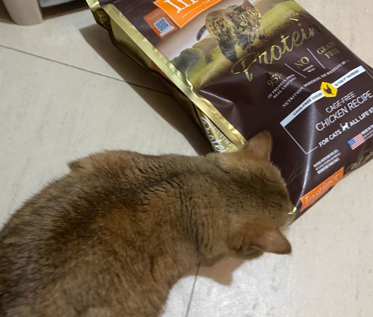 get利店鸡肉猫粮,给猫主子不一样的美味 get利店鸡肉猫粮,给猫主子不一样的美味