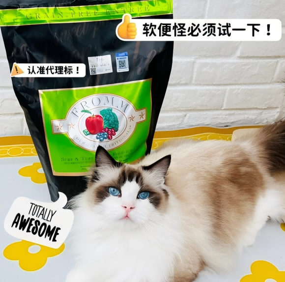 哪种猫粮易消化?绿福摩守护猫咪的“玻璃胃” 哪种猫粮易消化?绿福摩守护猫咪的“玻璃胃”