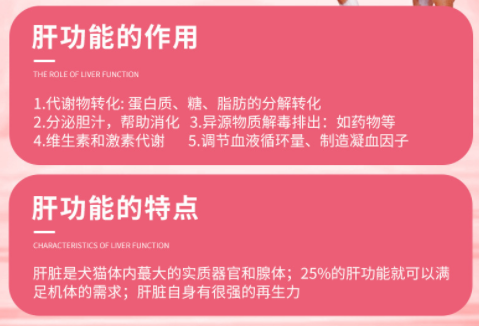 肝脏健康守护者：宠宝森复方甘草酸苷片