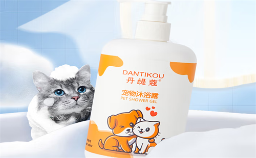 丹缇蔻