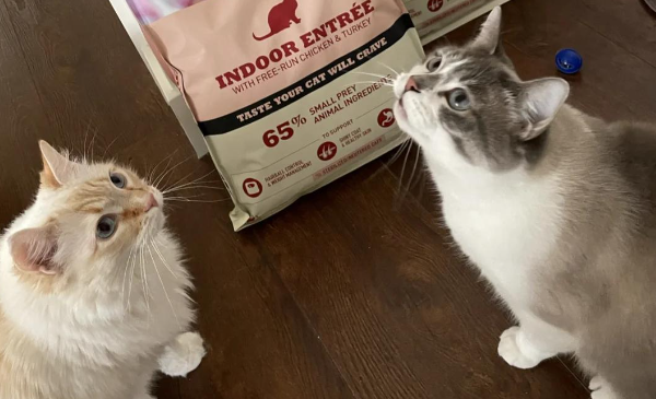 爱肯拿猫粮怎么样?口碑与品质深度解读 爱肯拿猫粮怎么样?口碑与品质深度解读