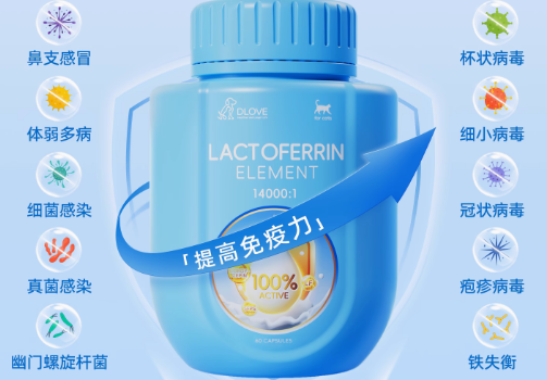 DLOVE乳铁蛋白:宠物免疫力的天然增强剂 DLOVE乳铁蛋白:宠物免疫力的天然增强剂