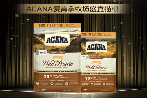 口碑较好的猫粮品牌都有哪些？爱肯拿“实力”不容忽视
