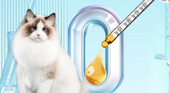 LF-LLAMA猫咪维生素b：守护猫咪健康的营养好帮手