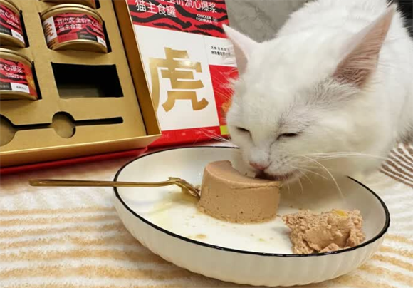 胖小虎流心爆浆主食罐,猫咪的奢华湿粮盛宴 胖小虎流心爆浆主食罐,猫咪的奢华湿粮盛宴