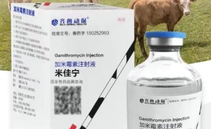 齐鲁动保兽药是哪家公司的 齐鲁动保兽药是哪家公司的