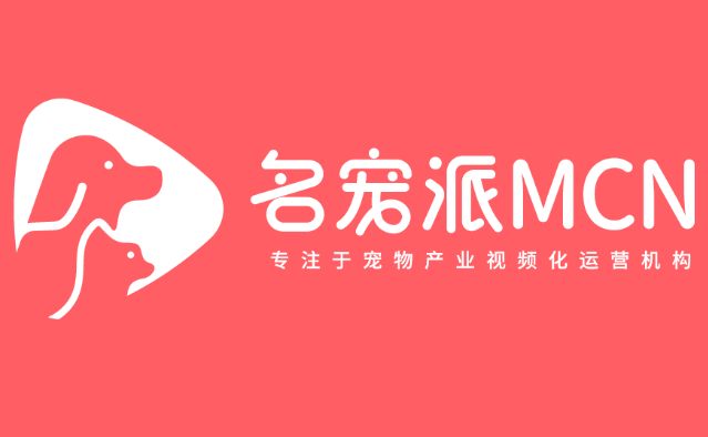 名宠派有哪些名宠 名宠派有哪些名宠