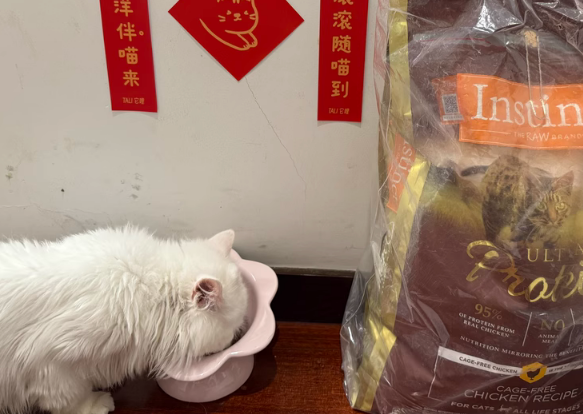 利店鸡肉猫粮,健康、营养、适口性还强 利店鸡肉猫粮,健康、营养、适口性还强