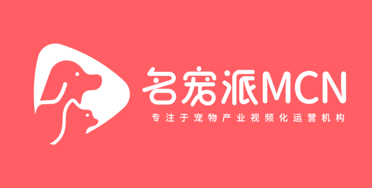 名宠派——打造全网宠物第一KOL矩阵