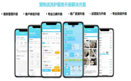 云沭