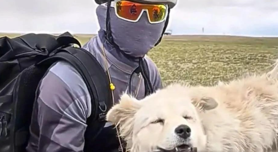 路上捡到一只死活不走的流浪狗,四条腿都磨破皮了 路上捡到一只死活不走的流浪狗,四条腿都磨破皮了