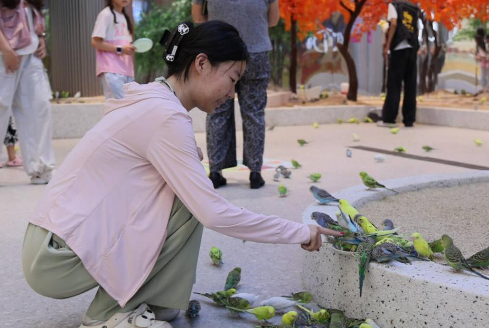 济南高新区:“宠物经济+首店效应”带动消费热潮 济南高新区:“宠物经济+首店效应”带动消费热潮
