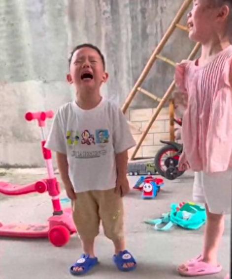 邻居小孩邀请狗狗去看宠物小鸡,结果狗直接将小鸡咬死了! 邻居小孩邀请狗狗去看宠物小鸡,结果狗直接将小鸡咬死了!