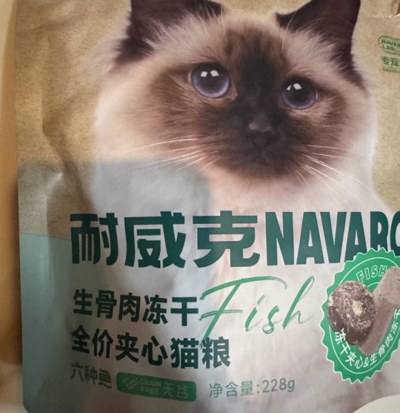 老猫吃什么猫粮？科学喂养，守护晚年健康