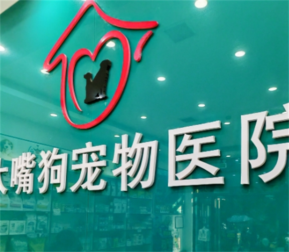 大嘴狗宠物医院在北方哪个城市比较多
