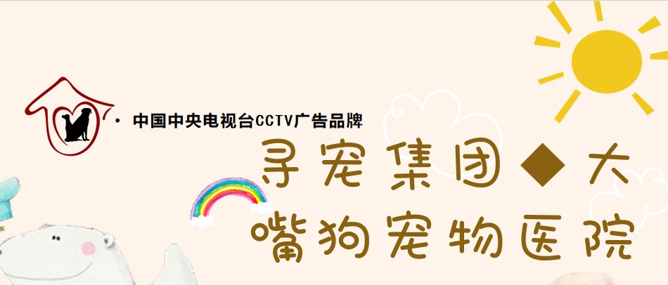 寻宠集团主营业务是什么 寻宠集团主营业务是什么