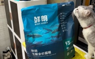 猫粮什么牌子的好?鲜朗给爱宠“负责任的爱”