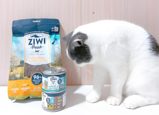 夏季湿猫粮品牌推荐,成分安全是首要考量 夏季湿猫粮品牌推荐,成分安全是首要考量