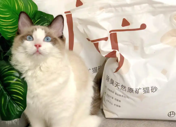 猫砂哪个牌子性价比高?网易严选原矿猫砂2.0:除臭耐用又省砂 猫砂哪个牌子性价比高?网易严选原矿猫砂2.0:除臭耐用又省砂