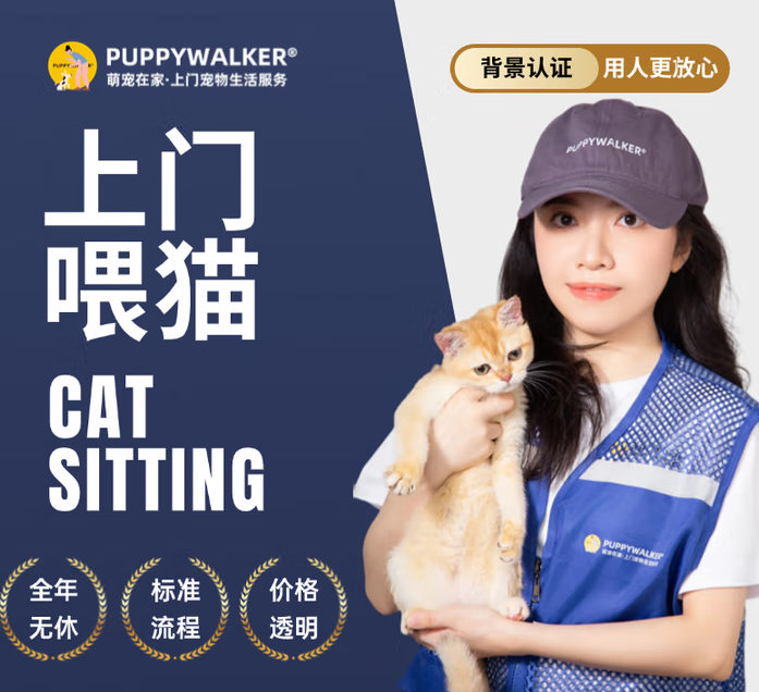 萌宠在家哪些城市有