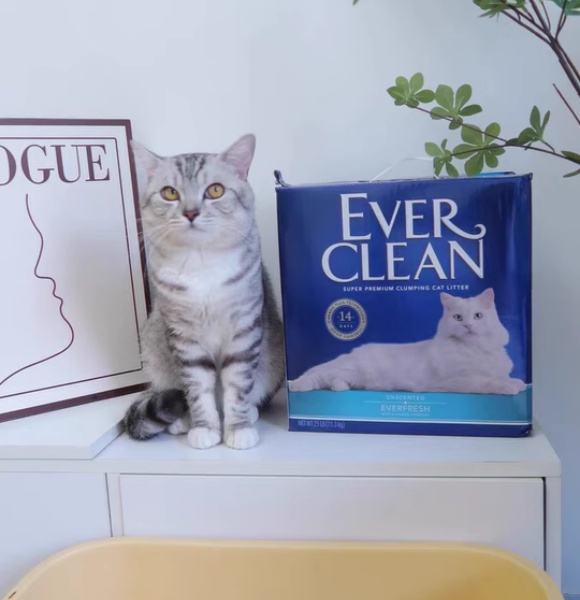 什么样的猫砂好？EverClean铂钻猫砂的“净味哲学”获认可
