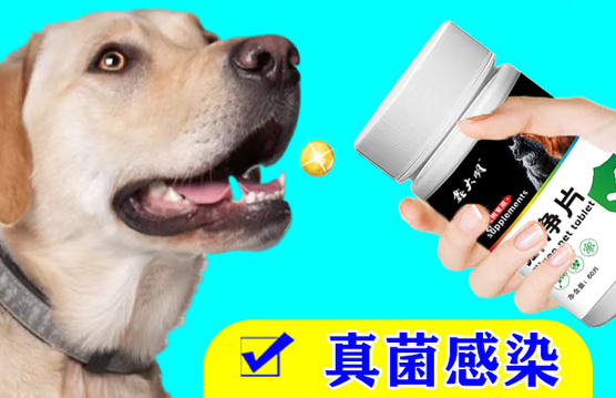 鑫大明癣净片:宠物真菌性皮肤病的“终结者” 鑫大明癣净片:宠物真菌性皮肤病的“终结者”