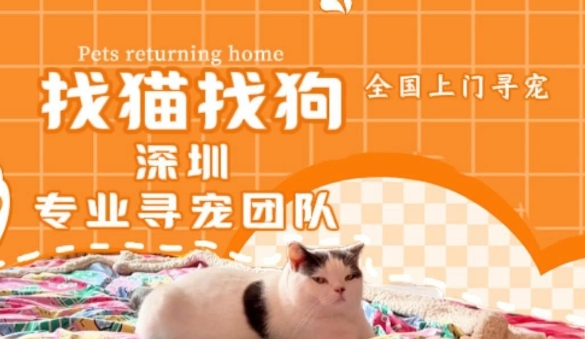 寻宠集团工作怎么样 寻宠集团工作怎么样