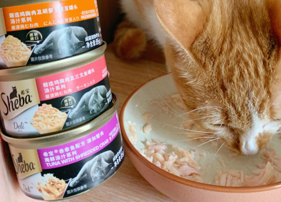 口碑比较好的国产猫罐头有哪些?希宝打造主食级营养新标杆! 口碑比较好的国产猫罐头有哪些?希宝打造主食级营养新标杆!