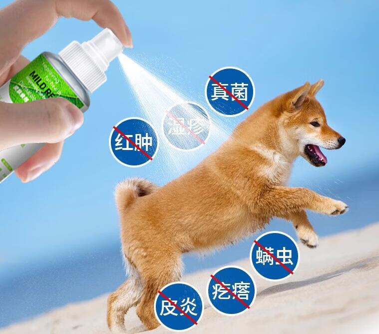 依利多丽宠物皮肤病喷雾效果如何 依利多丽宠物皮肤病喷雾效果如何