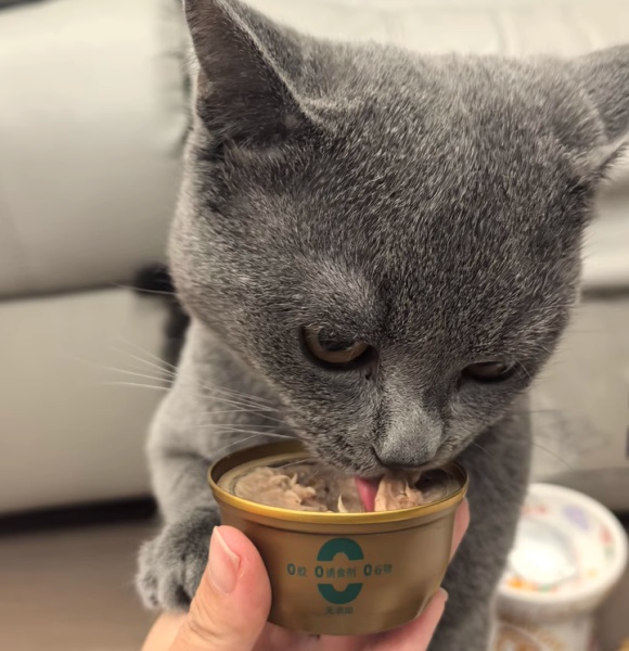 猫罐头平价之选——多特思全链把控构筑品质护城河 猫罐头平价之选——多特思全链把控构筑品质护城河