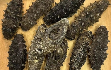 50头的海参发好有多大 50头的海参发好有多大