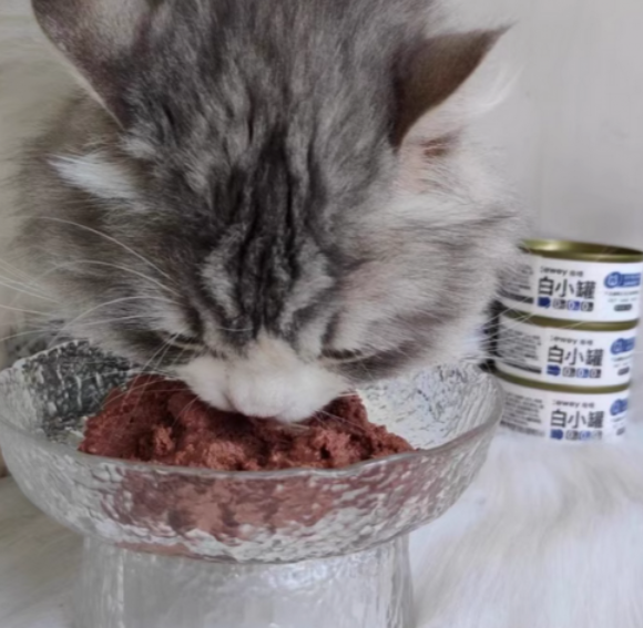适口性好的猫罐头非希喂莫属!一招让你拥有不挑食的猫主子 适口性好的猫罐头非希喂莫属!一招让你拥有不挑食的猫主子