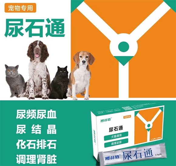 科学守护爱宠泌尿健康!博林特尿石通专业解析 科学守护爱宠泌尿健康!博林特尿石通专业解析