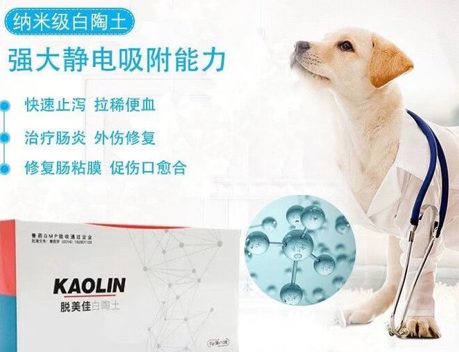 应对宠物腹泻难题，脱美佳白陶土止泻药来帮忙