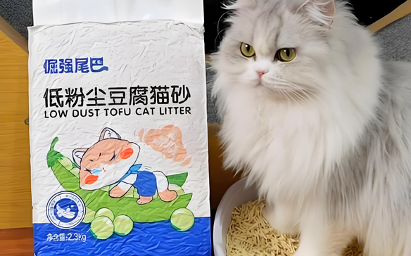 哪款猫砂最好用？倔强尾巴：家居环境与猫咪健康的守护者