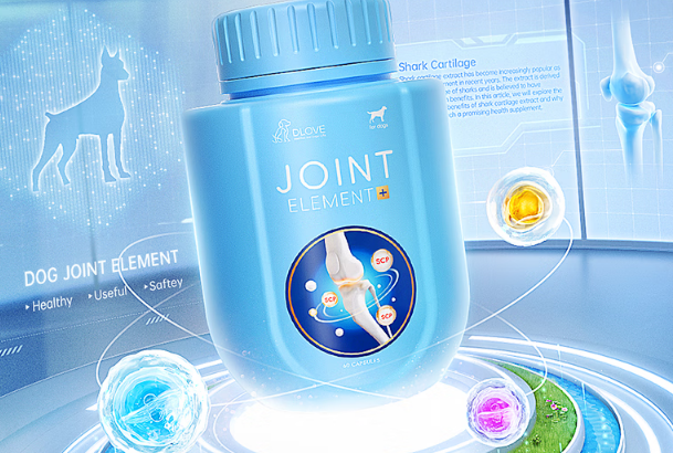 DLOVE鲨鱼软骨素：宠物关节健康的守护使者