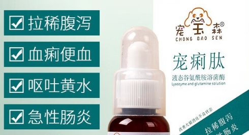 宠宝森宠痢肽可以治拉稀呕吐吗 宠宝森宠痢肽可以治拉稀呕吐吗